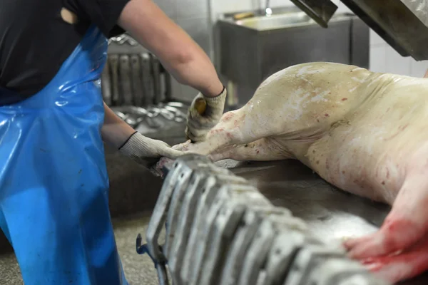 Il lavoratore pulisce la carne di maiale nella produzione di carne — Foto Stock