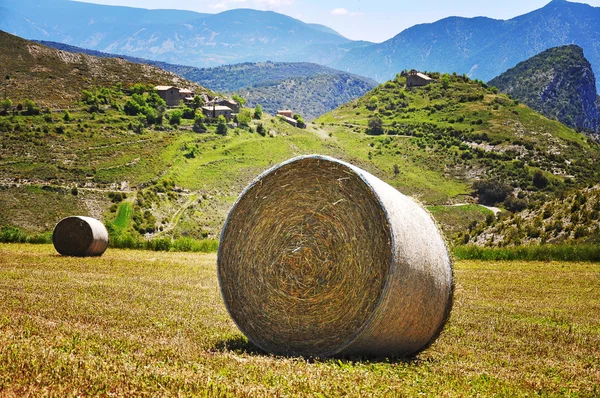 Strohballen — Stockfoto