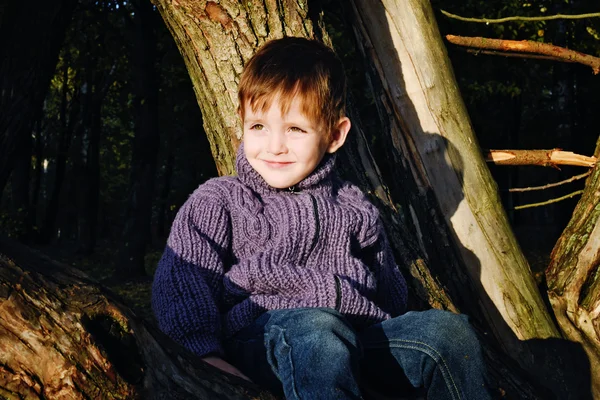 Boy in a sweater — Stock Photo, Image