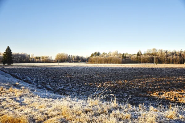 Invierno paisaje rural —  Fotos de Stock