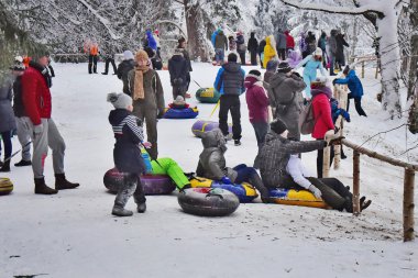 Pavlovsk, Rusya Federasyonu - Ocak 2016: Pavlovsk Sarayı'nda 