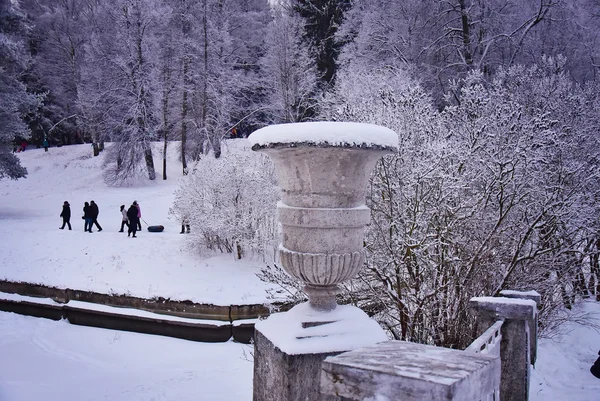 Pavlovsk, Federación Rusa - Enero 2016: Pavlovsky Park en w — Foto de Stock