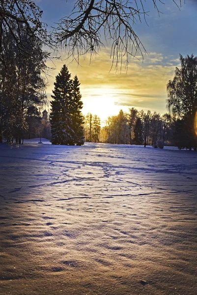 Parque nocturno de nieve en invierno — Foto de Stock
