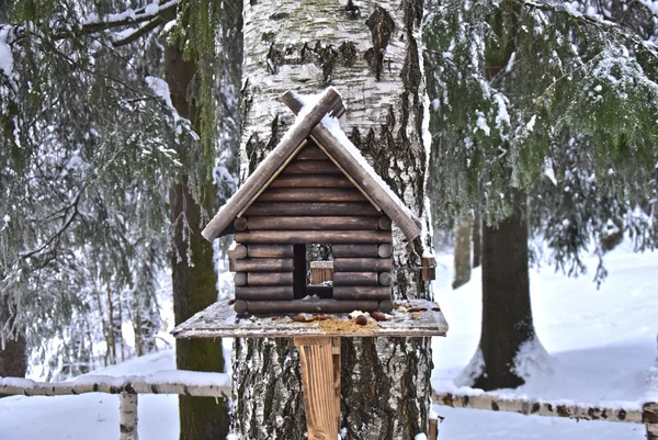 La casa che mangia uccelli in foresta invernale — Foto Stock