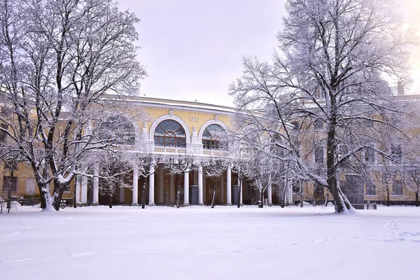 Павловский дворец в зимние праздники — стоковое фото