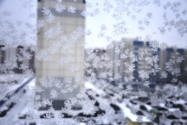 Schneeflocke am Fenster — Stockfoto