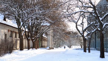 Kış manzarası. Şehir parkında karla kaplı bir patika. Kış ormanında yolu olan ağaçlar karla kaplandı.