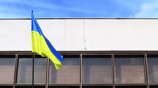 Ukrayna Nın Ulusal Bayrağını Rüzgarda Dalgalanan Bir Idari Binanın Arka — Stok video