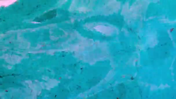 Vista Superior Textura Superficie Azul Limpia Del Agua Piscina Con — Vídeo de stock