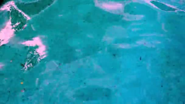 Вид Сверху Текстуру Чистой Голубой Поверхности Воды Бассейна Светлым Оттенком — стоковое видео