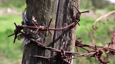 Paslı dikenli telli eski ahşap çitler. Kırsal yolun yanında bir çit. Klasik görünüm. Çitin çevresindeki ahşap bir direk.