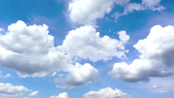 Blue Sky White Plump Fluffy Clouds Sun Cumulus Clouds Nature — Stock Video
