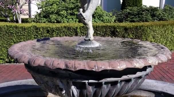 Fountain Boy Com Peixes Taça Fonte Uma Escultura Menino Feito — Vídeo de Stock