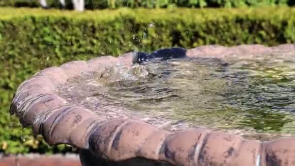 Fountain Boy Rybami Misce Fontány Socha Chlapce Bronzu Který Drží — Stock video