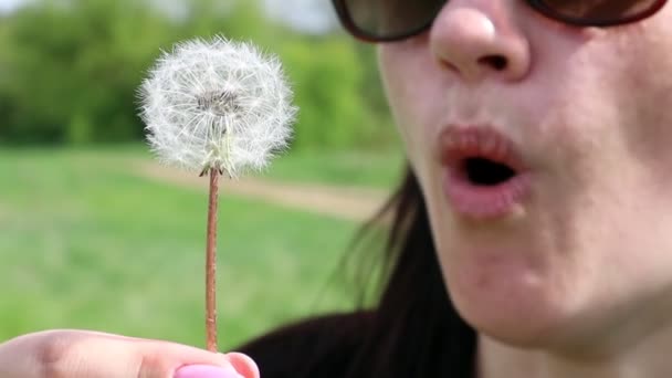 Retrato Uma Bela Jovem Mulher Gramado Verão Soprando Dente Leão — Vídeo de Stock