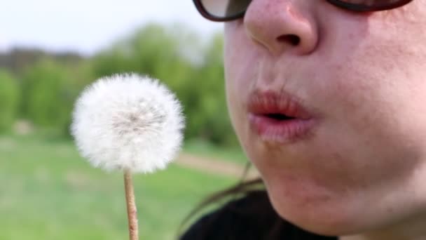 晴れた日に屋外で熟したタンポポに吹いて夏の芝生の上で美しい若い女性の肖像画 自然を楽しむ アレルギーフリーコンセプト — ストック動画