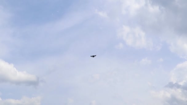 Ultralichte Kleine Propeller Aangedreven Prive Jet Vliegen Lucht Met Wolken — Stockvideo