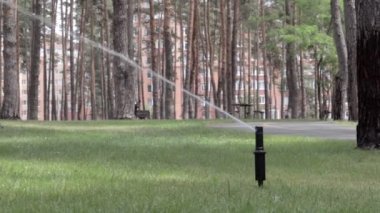 Yeşil bir parkta çim sulama sistemi çalışıyor. Sıcak havada çimenleri suyla ıslatıyorlar. Otomatik fıskiye. Otomatik sulama fıskiyesi başı çimleri suluyor. Akıllı bahçe.