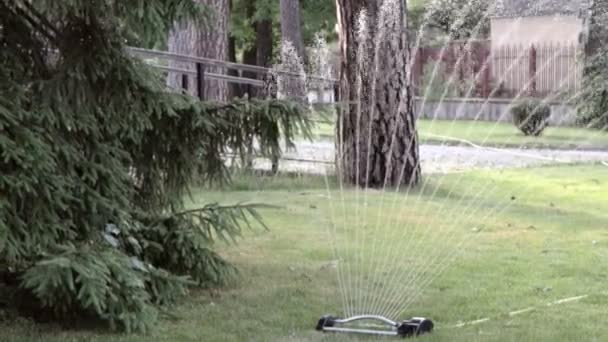Système Irrigation Pelouse Fonctionnant Dans Parc Vert Pulvérisation Eau Sur — Video