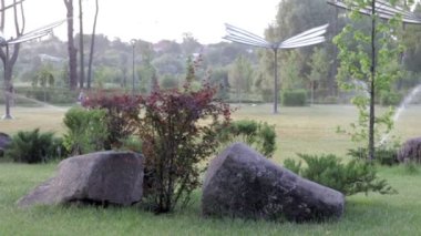 Yeşil bir parkta çim sulama sistemi çalışıyor. Sıcak havada çimenleri suyla ıslatıyorlar. Otomatik fıskiye. Otomatik sulama fıskiyesi başı çimleri suluyor. Akıllı bahçe.