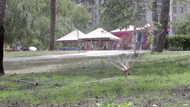 Système Irrigation Pelouse Fonctionnant Dans Parc Vert Pulvérisation Eau Sur — Video