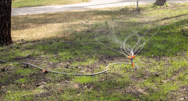草坪灌溉系统在一个绿地里工作 炎热的天气把草坪喷上了水 自动洒水器自动浇水洒水头浇灌草坪 聪明的花园 — 图库照片