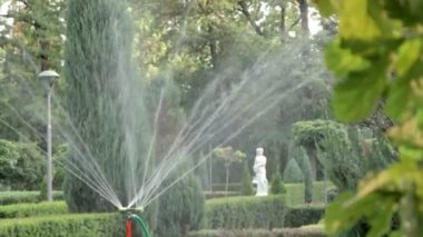 Yeşil bir parkta çim sulama sistemi çalışıyor. Sıcak havada çimenleri suyla ıslatıyorlar. Otomatik fıskiye. Otomatik sulama fıskiyesi başı çimleri suluyor. Akıllı bahçe.