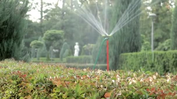 Sistema Irrigação Gramado Trabalhando Parque Verde Pulverizando Gramado Com Água — Vídeo de Stock