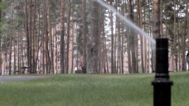 Yeşil bir parkta çim sulama sistemi çalışıyor. Sıcak havada çimenleri suyla ıslatıyorlar. Otomatik fıskiye. Otomatik sulama fıskiyesi başı çimleri suluyor. Akıllı bahçe.