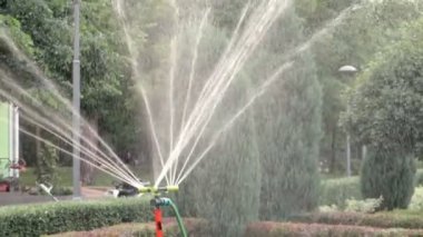 Yeşil bir parkta çim sulama sistemi çalışıyor. Sıcak havada çimenleri suyla ıslatıyorlar. Otomatik fıskiye. Otomatik sulama fıskiyesi başı çimleri suluyor. Akıllı bahçe.