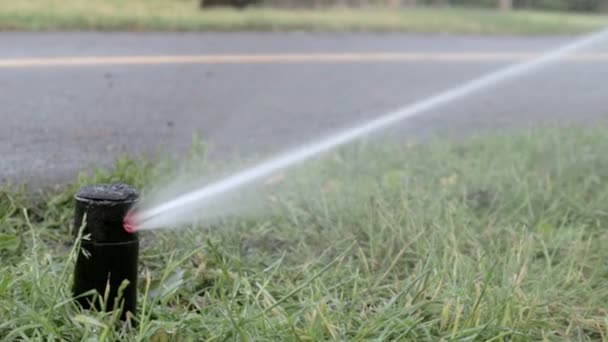 Grasirrigatiesysteem Aan Het Werk Een Groen Park Het Gazon Besproeien — Stockvideo