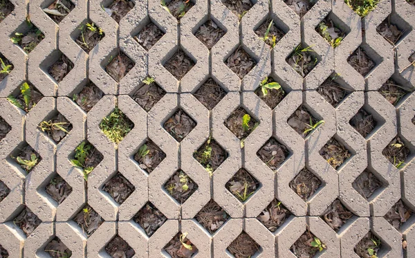 Background Paving Slabs Grass Sprouting Them Stone Tiles Sidewalk Footpath —  Fotos de Stock