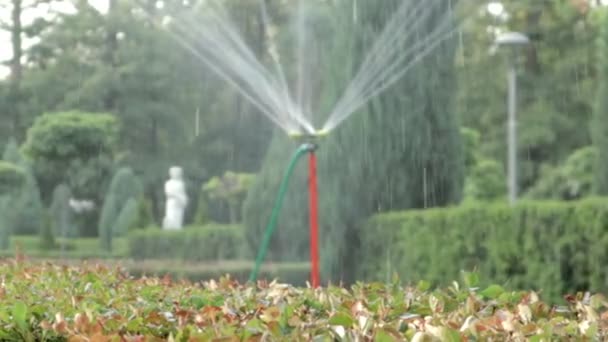 Σύστημα Άρδευσης Γκαζόν Δουλεύει Ένα Πράσινο Πάρκο Ψεκάζει Γκαζόν Νερό — Αρχείο Βίντεο