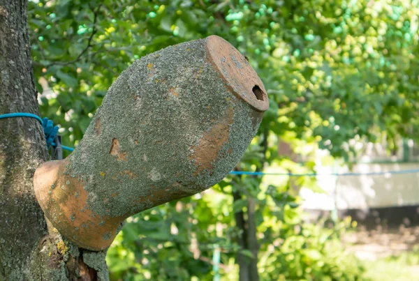 Old Clay Jug Tree Branch Ukrainian Village Pot Countryside Antique — Foto de Stock