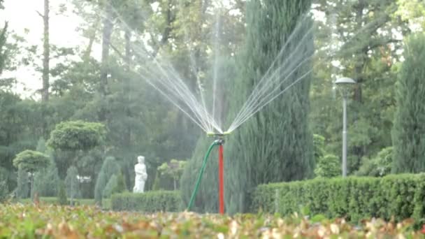 緑の公園で働く芝生灌漑システム 暑い日に芝生に水を吹きかける 自動スプリンクラー 自動散水スプリンクラーヘッドは芝生に散水します スマートガーデン — ストック動画