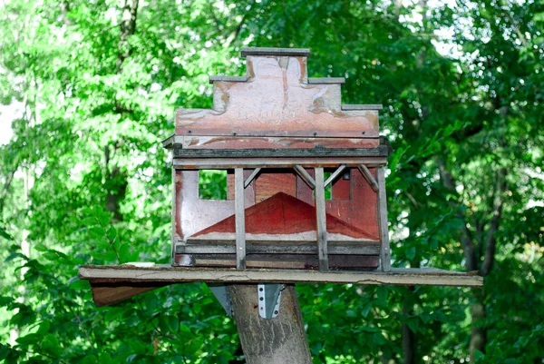 Birdhouse Floresta Uma Árvore Dia Ensolarado — Fotografia de Stock