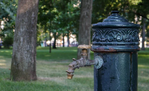 公园的水井在夏天 抽水系统 闭合和侧视美丽的金属青铜水龙头 户外旧铁制水龙头的一部分 按一下矿用水泵房 — 图库照片