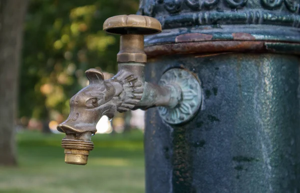 公园的水井在夏天 抽水系统 闭合和侧视美丽的金属青铜水龙头 户外旧铁制水龙头的一部分 按一下矿用水泵房 — 图库照片