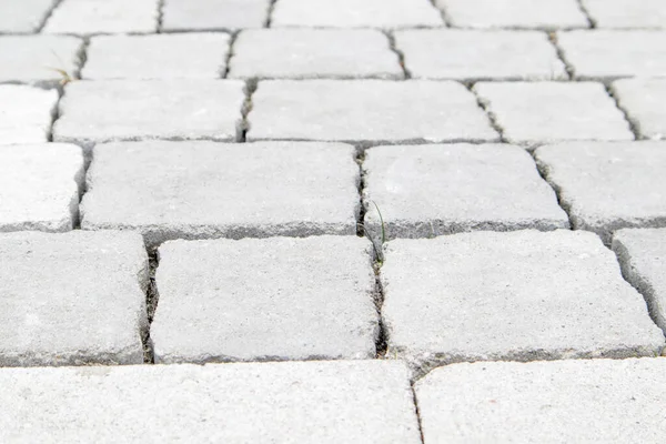 Concrete or paved newly laid gray paving slabs or stones for floors or walkways. Concrete paving slabs in the backyard or road paving. Garden brick path in the courtyard on a sandy foundation