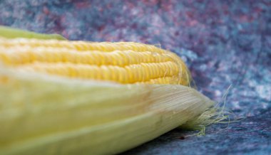 Yalancı tatlı mısır kafa. Bir mısır tanesi yapraklı. Çiğ mısır kafa, masaya yakın çekim. Doğal renk