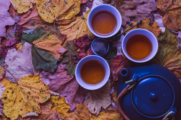 Sonbahar Çay Fincanları Çaydanlık Yapraklarla Dolu Sakin Bir Hayat — Stok fotoğraf