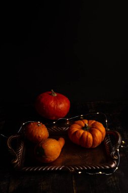 Pirinç bir tabakta farklı türde bal kabaklarının olduğu bir fotoğraf. Sonbahar hasat konsepti