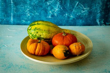 Mavi arka planda farklı tipte balkabakları olan fotoğraf. Sonbahar hasat konsepti