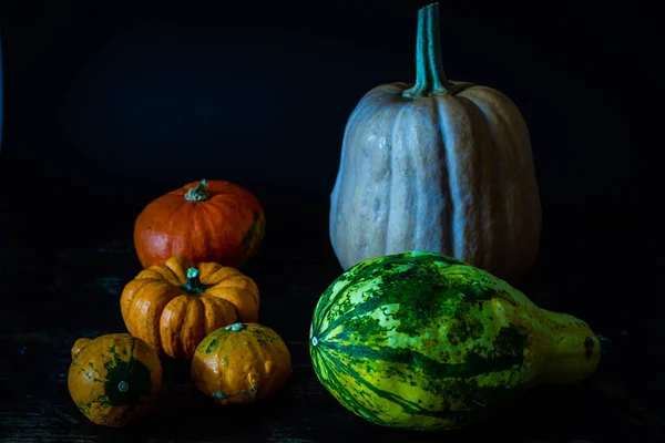 カボチャの異なるタイプの写真 秋の収穫コンセプト — ストック写真