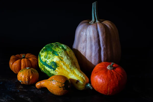 Photo Different Types Pumpkins Autumn Harvest Concept — Stock Photo, Image