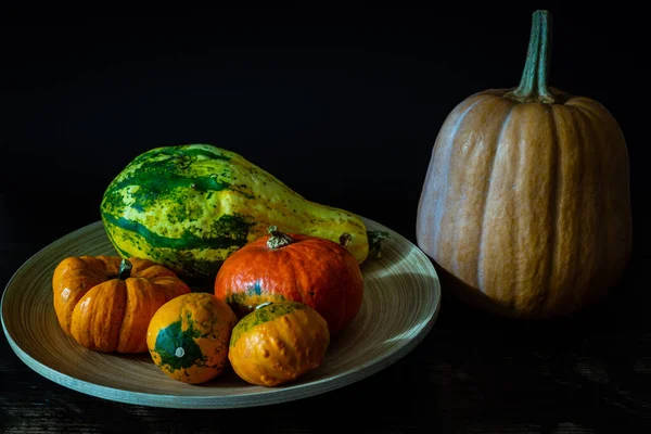 Foto Con Diferentes Tipos Calabazas Concepto Cosecha Otoño — Foto de Stock