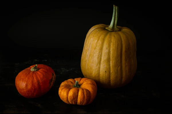 Foto Con Diversi Tipi Zucche Concetto Raccolta Autunnale — Foto Stock