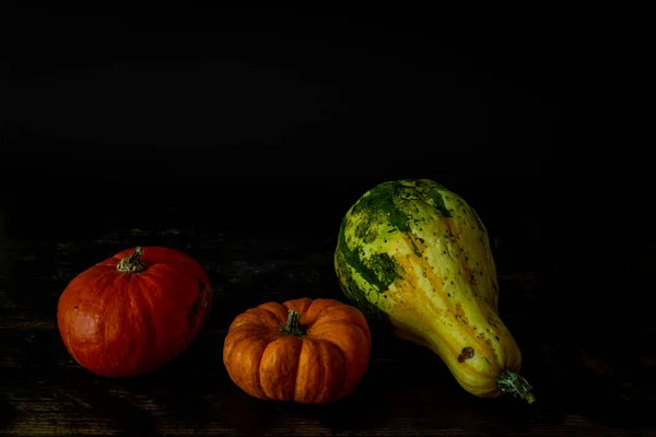 Photo Different Types Pumpkins Autumn Harvest Concept — Stock Photo, Image