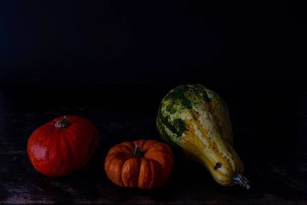 Photo Different Types Pumpkins Black Background Autumn Harvest Concept — Stock Photo, Image