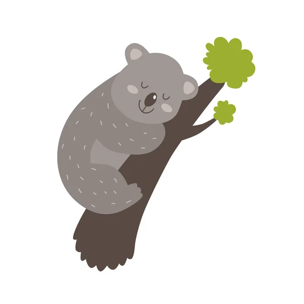 Bonito vetor koala —  Vetores de Stock